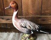 Beautiful Italian Duck Figure- Northern Pintail - Glazed Terracotta