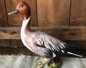 Beautiful Italian Duck Figure- Northern Pintail - Glazed Terracotta