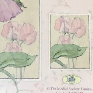 May include: A pink and green floral design with a white background. The image includes the text "The Medici Society Limited, London NW9 6JZ".