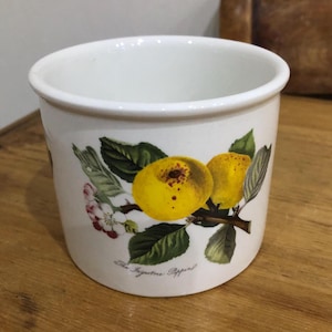 Peut inclure: Pot en céramique blanche avec un motif floral représentant des pommes jaunes et des feuilles vertes. Le texte "The Ingestre Pippin" est imprimé au bas du pot.