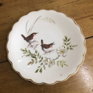 Piatto da dessert Royal Worcester, Wrens e Burnet Rose, Birds of Dorothy Doughty