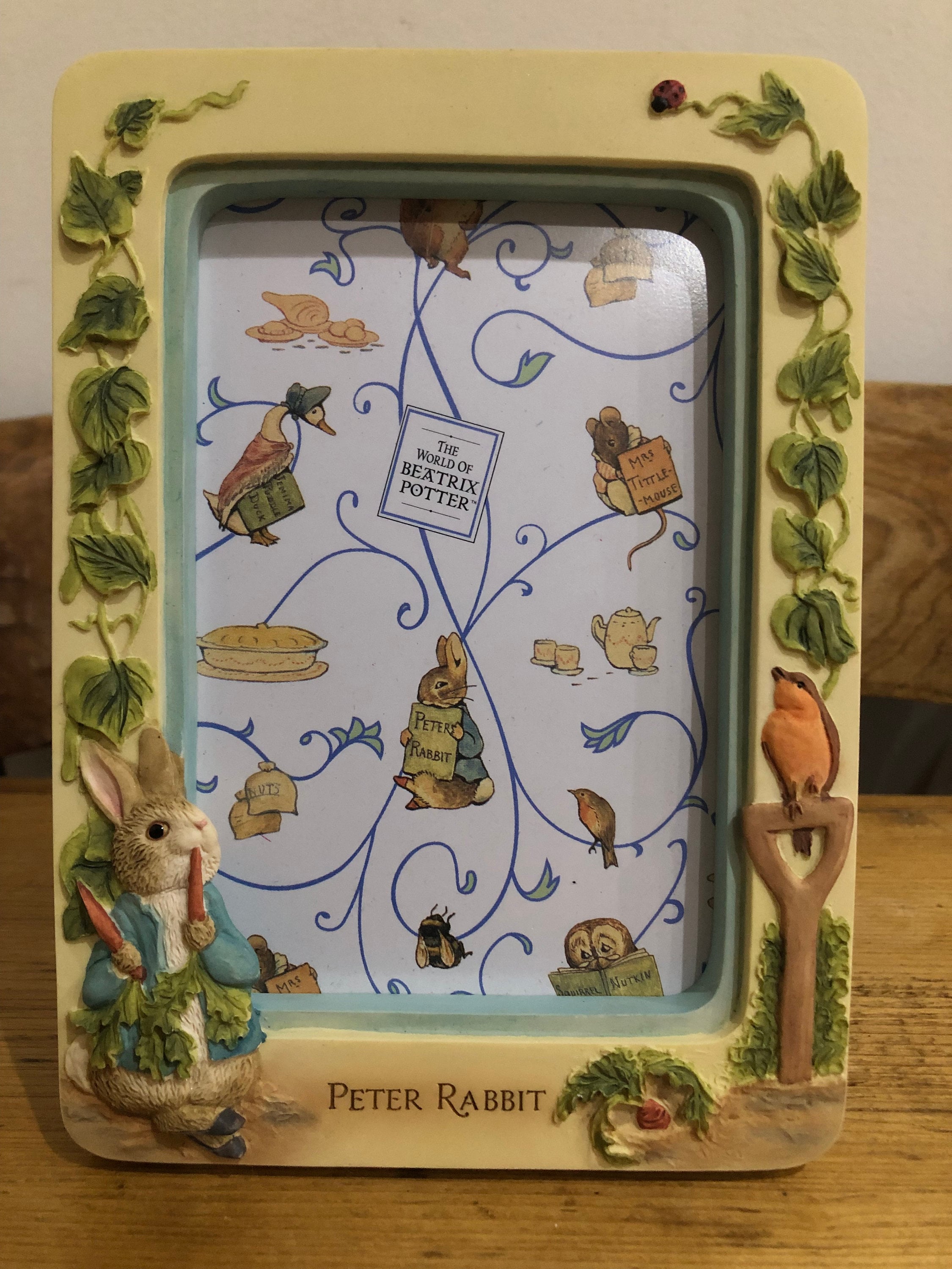 Peter Rabbit Circle Frames Beatrix Potter Peter Rabbit Photo Frame, 476019 - Etsy Australia