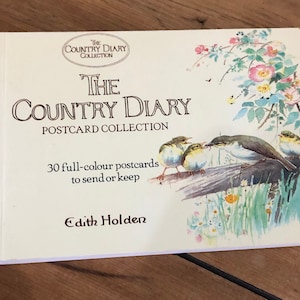 Livre de journal de pays d’une dame édouardienne Cartes postales