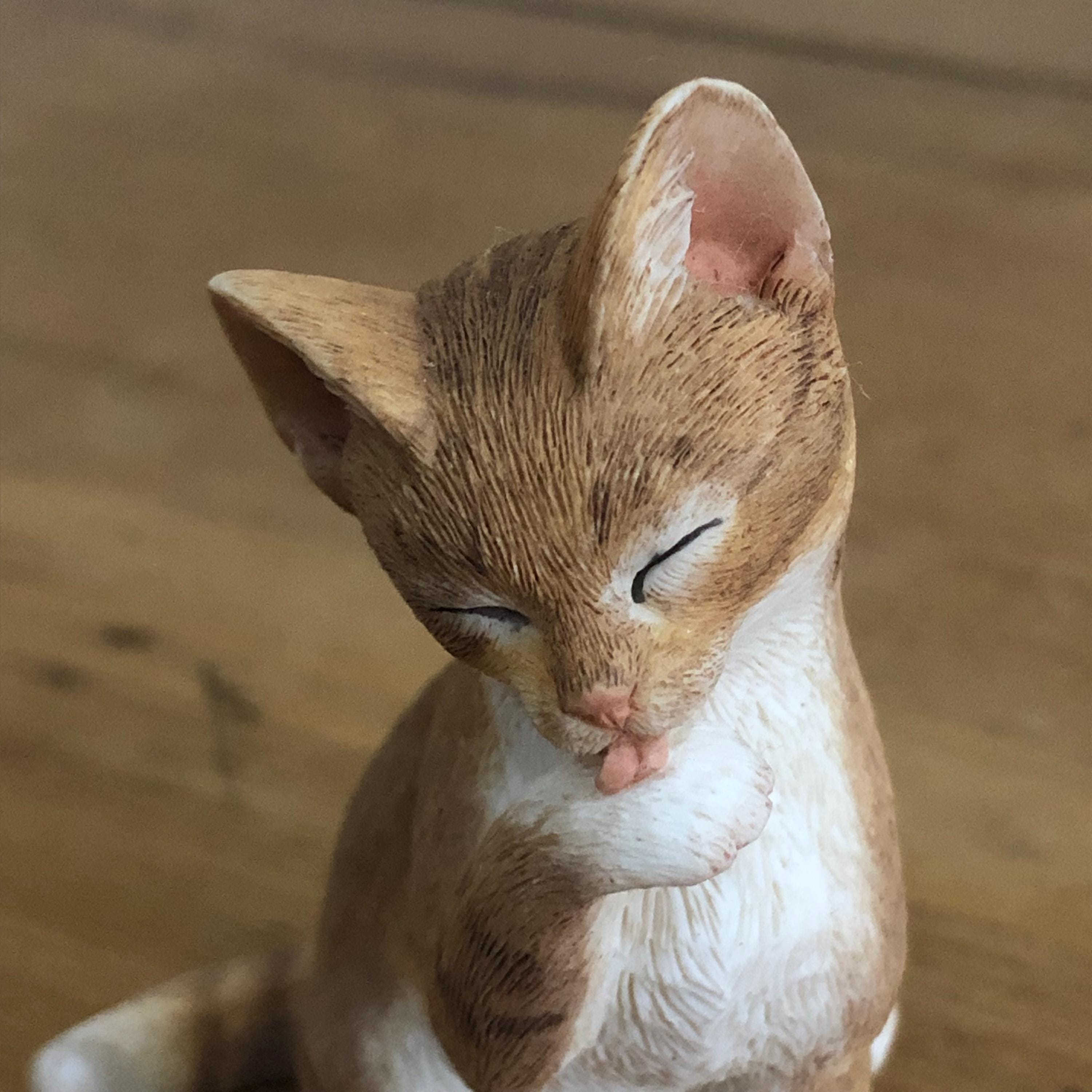 Sherratt and Simpson Kitten Sitting Licking Paw Figurine - Etsy