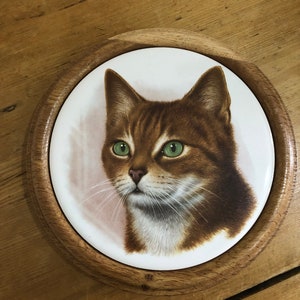Puede incluir: Una baldosa redonda de cerámica con un marco de madera que representa un gato marrón y blanco con ojos verdes.