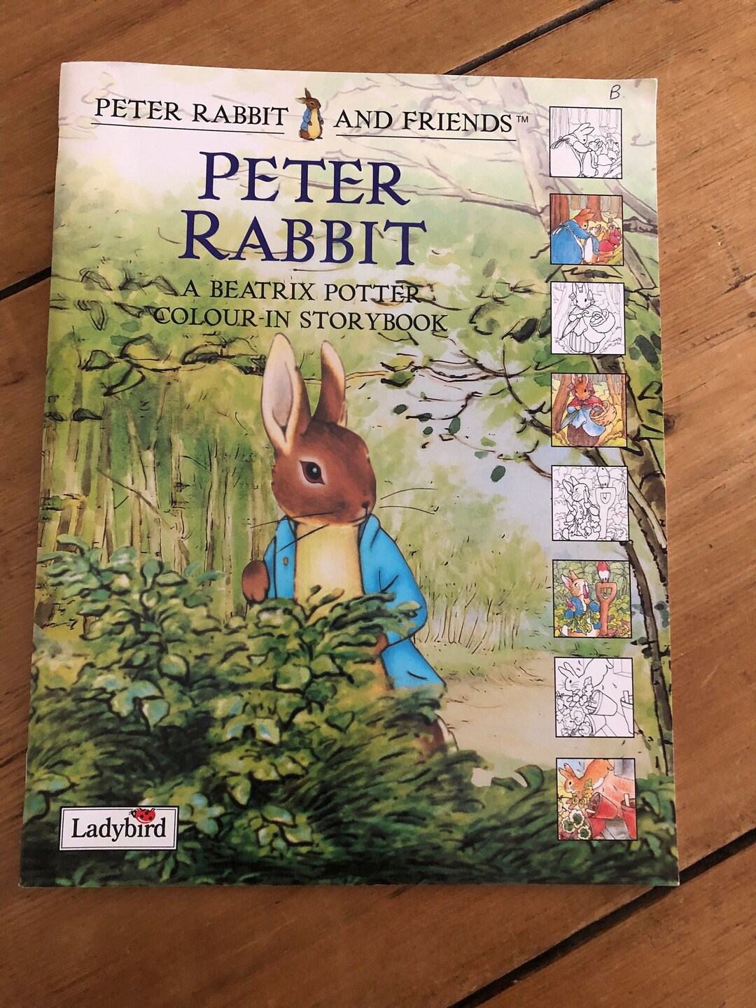 Ladybird Beatrix Potter Peter Rabbit and Friends Colour in Storybook - Etsy