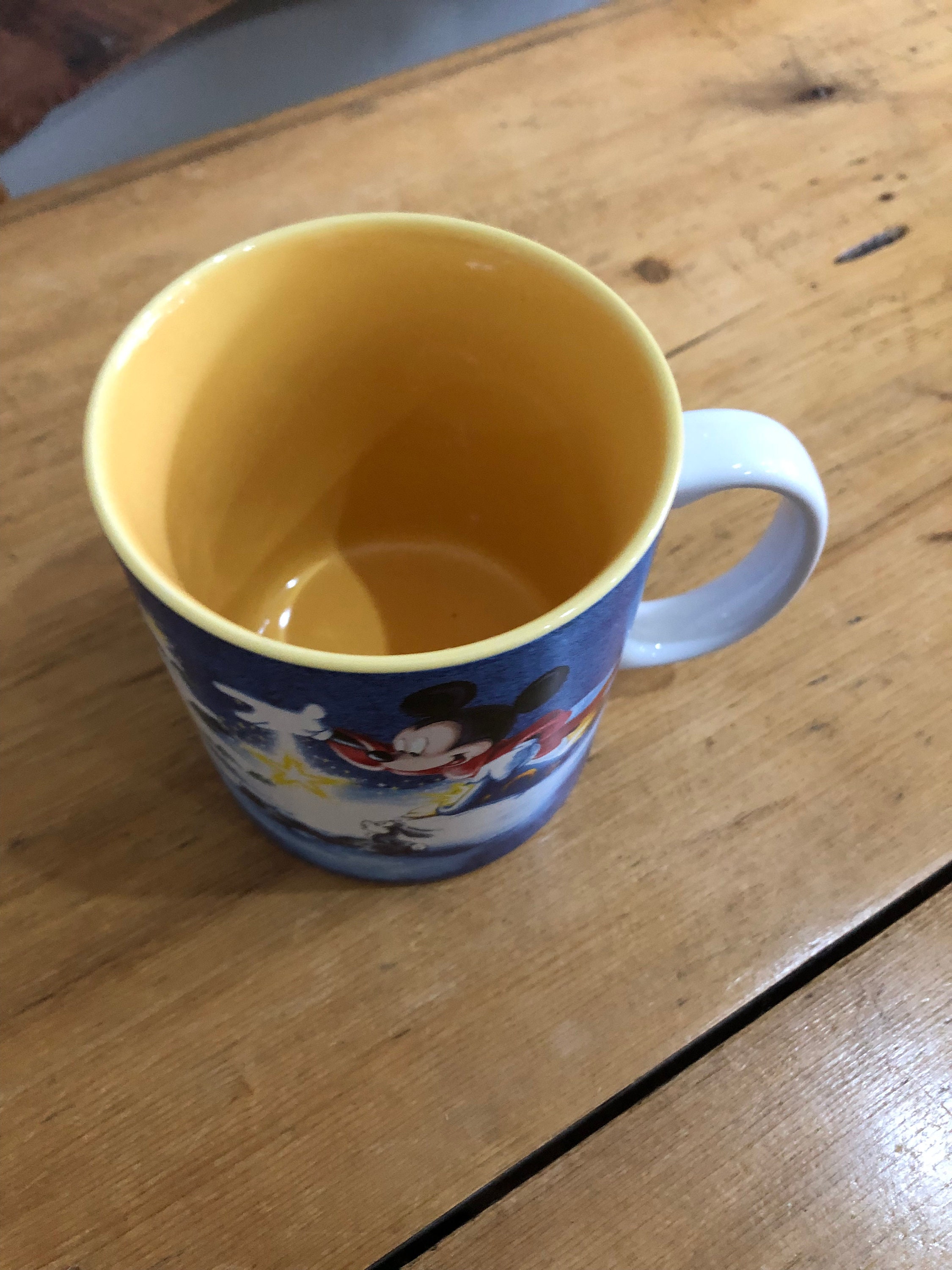 ディズニーランド パリ、ファンタジア 魔法使いの弟子、ミッキーマウス