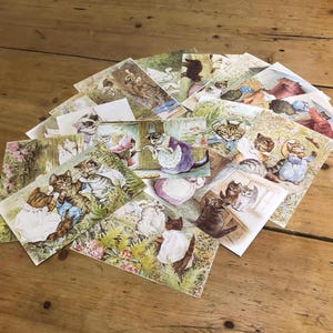 Set di venti cartoline del racconto di Tom Kitten di Beatrix Potter