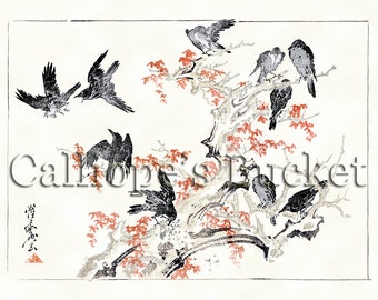 Crows - 鴉. (all artworks are sold without the "Calliope's Bucket" stamp)
