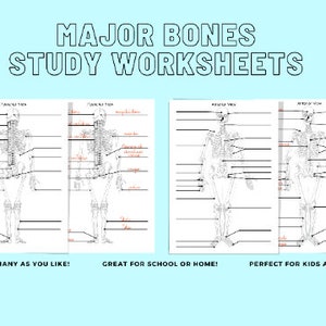 Human Anatomy Coloring Pages Skeletal Coloring Book - Etsy