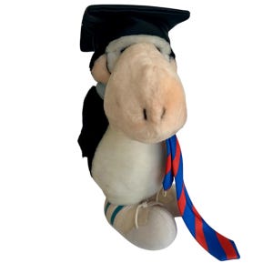 Pode incluir: Um brinquedo de pelúcia de vaca usando um chapéu de formatura e uma toga pretos. A vaca tem um focinho grande e claro e está usando uma gravata listrada azul, vermelha e branca. Ela está usando sapatos brancos com listras azuis.