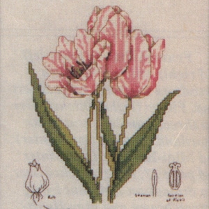 Counted Cross Stitch Botanical Classics Collector&#39;s Series 1987 Tulipa Rembrandt  pattern and instructions
