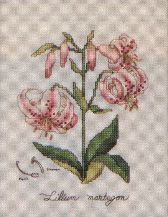 Counted Cross Stitch Botanical Classics Collector S Series 1987 Lilium Martagon Pattern And Instructions