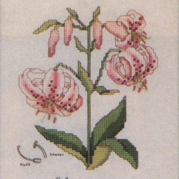 Counted Cross Stitch Botanical Classics Collector's Series 1987 Lilium Martagon  pattern and instructions