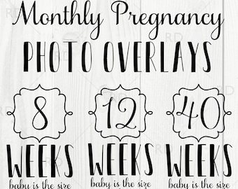 Weekly/Monthly Pregnancy Overlays For Your Maternity Baby Bump Photos - DIGITAL Download / 14 Different Weeks Comes In Black AND White!