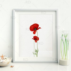Vintage Poppy Flowers on light canvas background - PRINTABLE Wall Art / Poppy Flowers Wall Art / Poppy Flower Wall Art / Red Poppy Flowers
