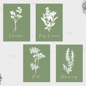 Herbs Kitchen Art - Four 5x7 Herb PRINTABLES / Bay Laurel, Cilantro ...