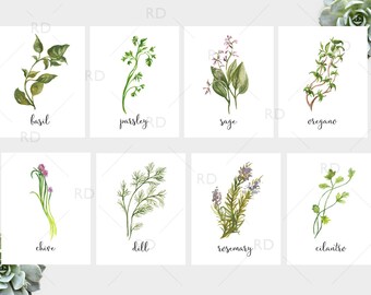 Herb Watercolor Prints - PRINTABLE Wall Art / Herb printables / Herb print / Dill, Parsley, Rosemary, Sage, Basil, Chive, Cilantro, Oregano