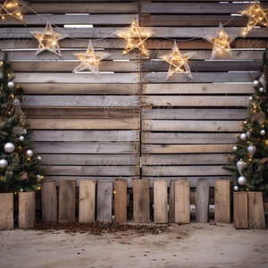 May include: Two decorated Christmas trees stand in front of a rustic wooden wall with a string of lights and stars. The trees are decorated with silver ornaments and lights.