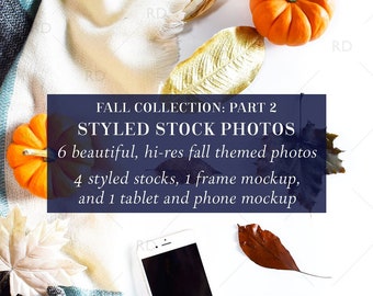 Styled Stock Photography Fall Part 2  for Websites and Social Media Collection / Styled Stock Photography / Stock Photo Mockup / Fall Stocks