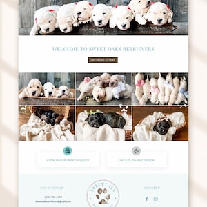 May include: A website interface for Sweet Oaks Retrievers featuring a logo with paw prints, navigation links, and multiple photographs of golden and black retriever puppies in baskets and on blankets, with contact details and kennel association logos.