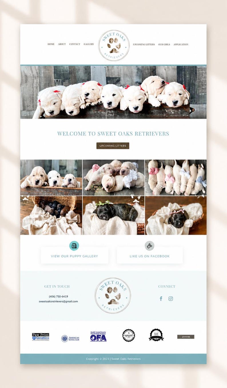 May include: A website interface for Sweet Oaks Retrievers featuring a logo with paw prints, navigation links, and multiple photographs of golden and black retriever puppies in baskets and on blankets, with contact details and kennel association logos.
