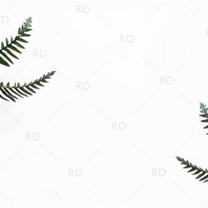 Tropical Leaves Styled Desk Mockup / Styled Stock Photography / Styled Photo for Blog Website / Desk Mockup / Tropical Leaves on White Desk