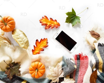 Fall Themed Styled Stock Photography for Websites and Social Media Collection / Styled Stock Photography / Stock Photo Mockup / Fall Stock