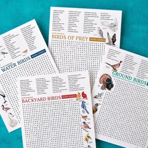 Bundle de recherche de mots oiseau - pages de recherche de mots imprimables. PDF à télécharger instantanément. Cour arrière en Amérique du Nord, eau/rivage, proies/rapaces et sol/gibier.
