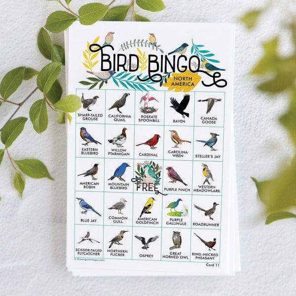 Bird Bingo Cards: Printable bingo, 50 cards, senior citizen activities, kids game idea, educational homeschooling, american bird species