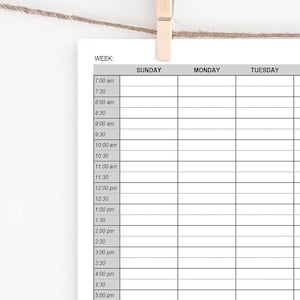 Half-Hour Weekly Planner - Editable schedule w 1/2 hour increments. 7 day tracker, hourly planning, day planner page, itinerary chart to do.