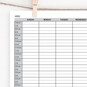 Half-Hour Weekly Planner - Editable schedule w 1/2 hour increments. 7 day tracker, hourly planning, day planner page, itinerary chart to do.