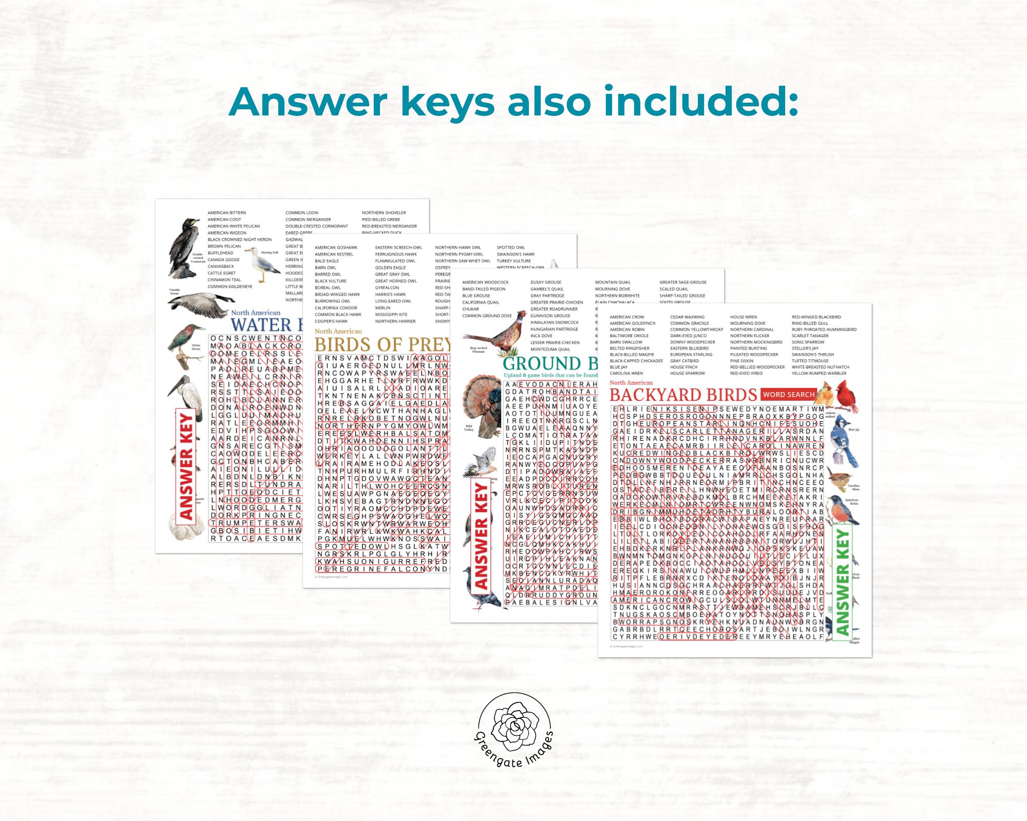 Bird Word Search Bundle - PRINTABLE Word Find Pages. Instant Download ...