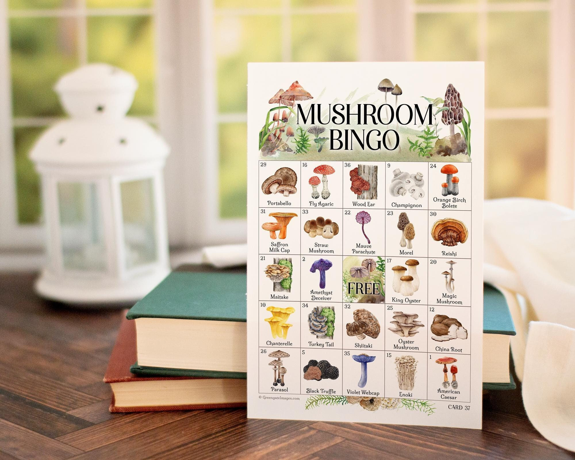 Mushroom Bingo Cards - 50 DRUCKBARE Karten. Kinder, Erwachsene, Seniorenaktivitäten. Pilzarten Waldthema Partyidee.
