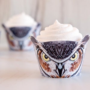 May include: A cupcake with white frosting and an owl-themed cupcake wrapper. The owl's eyes are yellow and the wrapper has a brown, black, and white pattern.