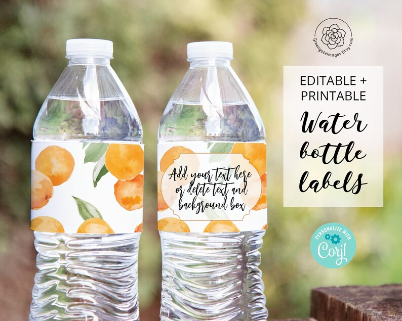 Oranges Water Bottle Label Printable Corjl Editable Party Etsy Canada