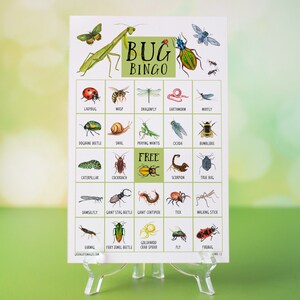 Bingo de insectos: 50 tarjetas únicas para imprimir, actividad de juego para niños con imágenes en color etiquetadas, bingo de insectos araña, idea para fiesta de bichos espeluznantes, descarga.