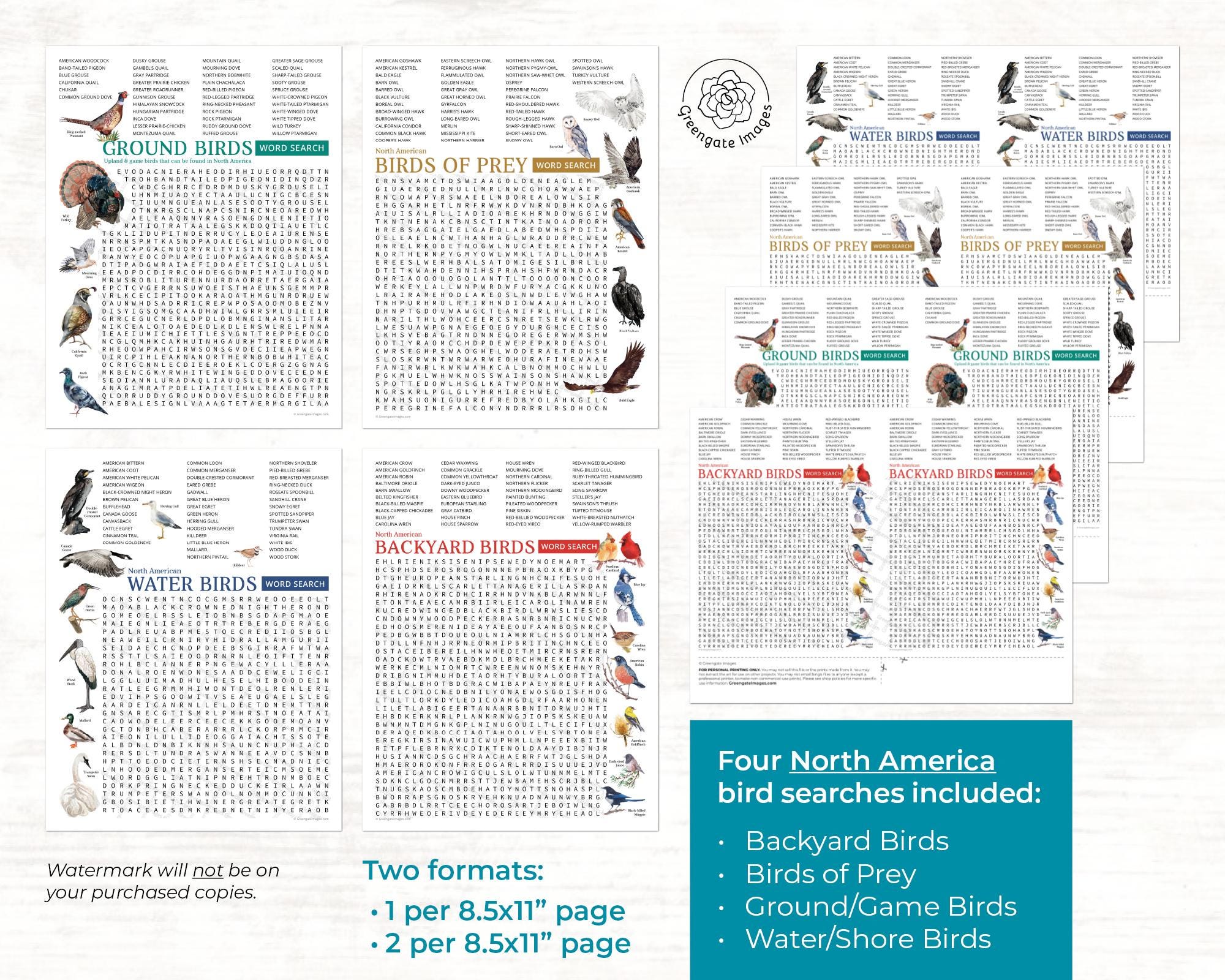 Bird Word Search Bundle - PRINTABLE Word Find Pages. Instant Download ...
