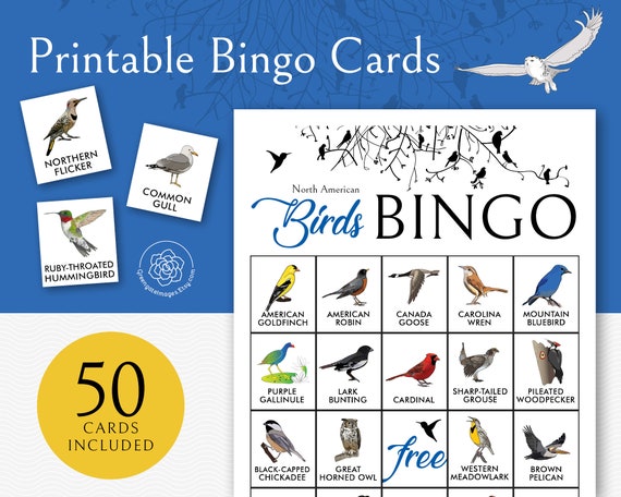 Bird Bingo Cards: Printable bingo 50 cards senior citizen