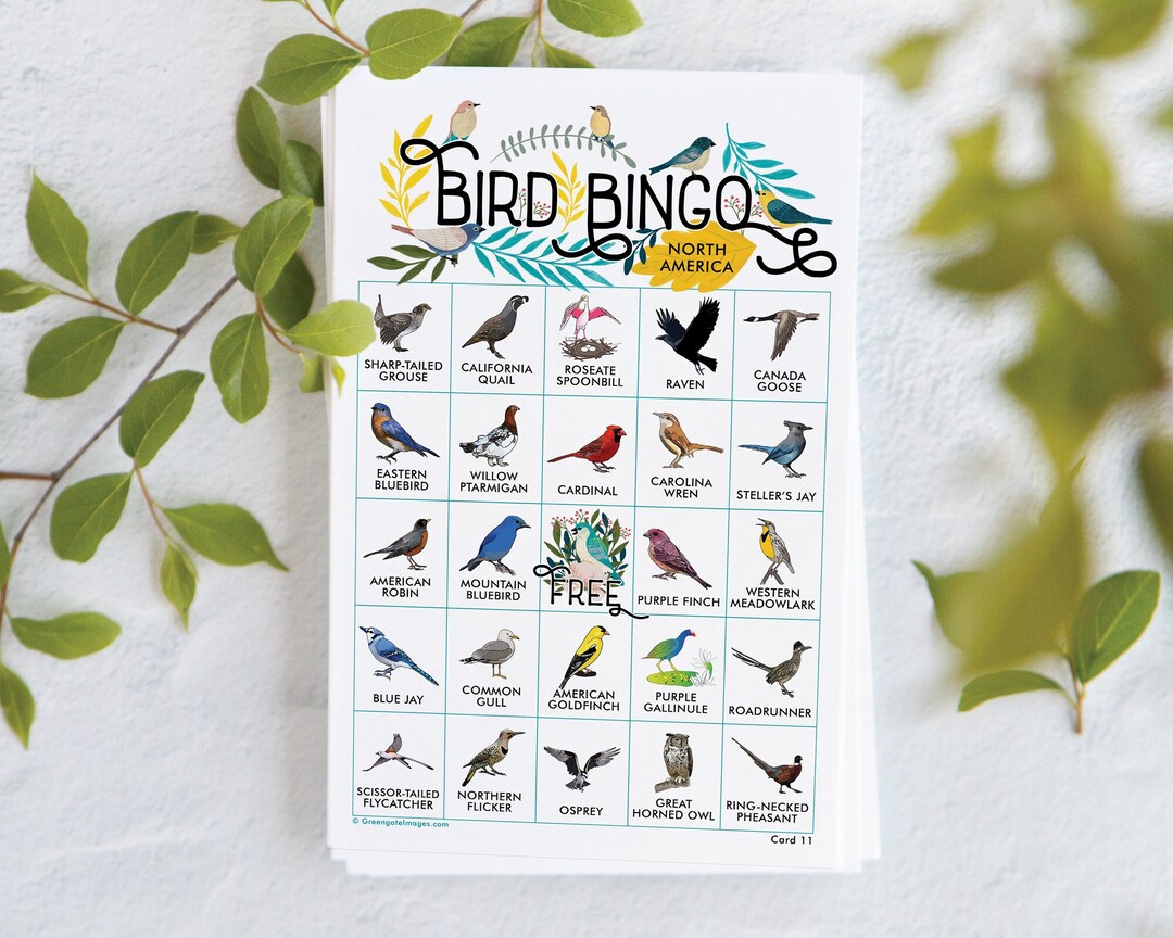 Bird Bingo Cards: Printable Bingo 50 Cards Senior Citizen - Etsy