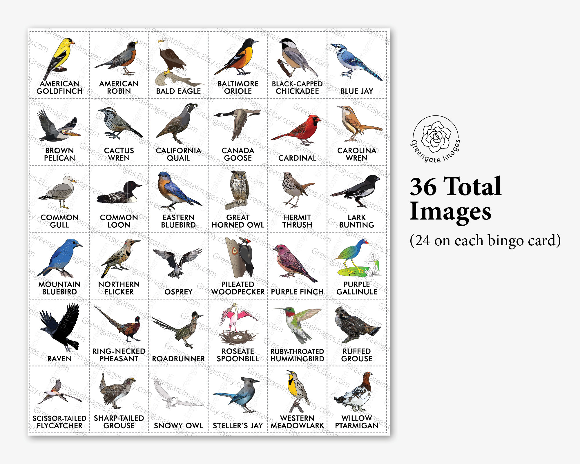 Bird Bingo Cards: Printable Bingo, 50 Cards, Senior Citizen Activities, Kids Game Idea, Educational Homeschooling, American Bird Species - Etsy bird-bingo-cards-printable-bingo-50-cards-senior-citizen-activities-kids-game-idea-educational-homeschooling-american-bird-species-etsy