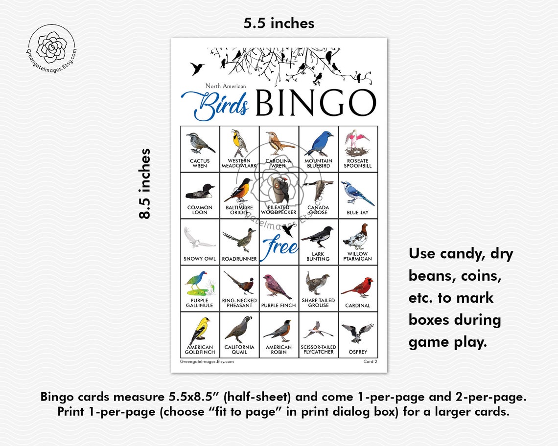 Bird Bingo Cards Printable bingo 50 cards senior citizen Etsy