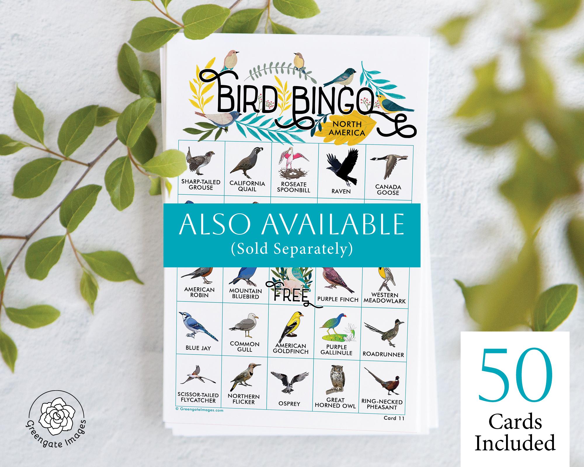 Bird Word Search Bundle - PRINTABLE Word Find Pages. Instant Download ...