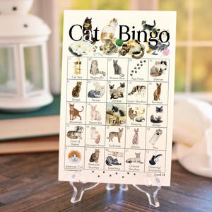 Cat Bingo - 50 cartes uniques IMPRIMABLES. PDF à téléchargement numérique instantané. Activité éducative amusante pour tous les âges. Races domestiques et éléments du chaton