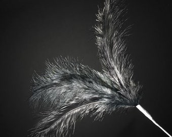 18 BLACK real FEATHER spray. Each spray has 3 feathers great for crafting, hatmaking, wedding hair, floral decorations and bouquets