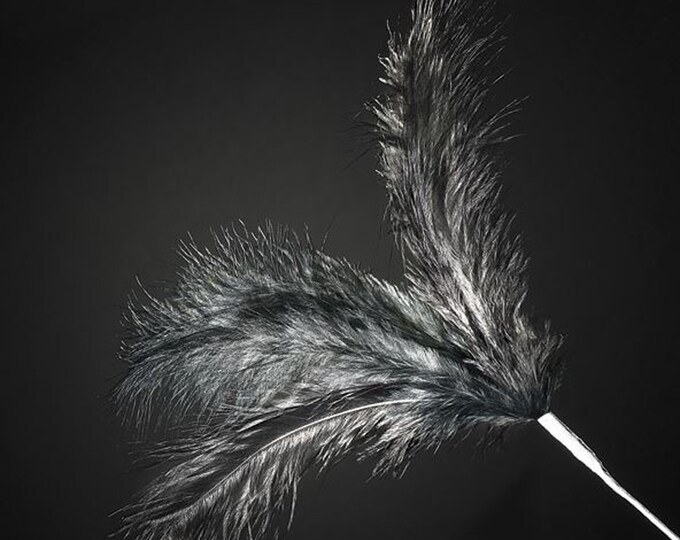 18 BLACK real FEATHER spray. Each spray has 3 feathers great for crafting, hatmaking, wedding hair, floral decorations and bouquets