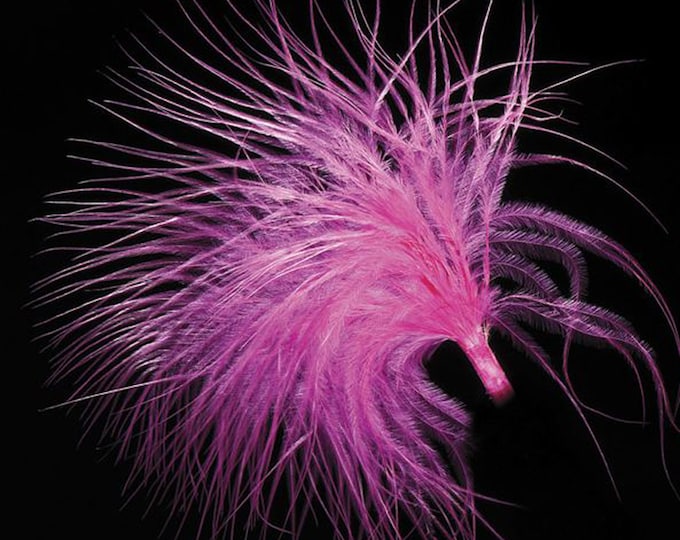Pack of 36 FUCHSIA PINK real FEATHER stems 90mm great for crafting, hatmaking, wedding hair, floral decorations and bouquets