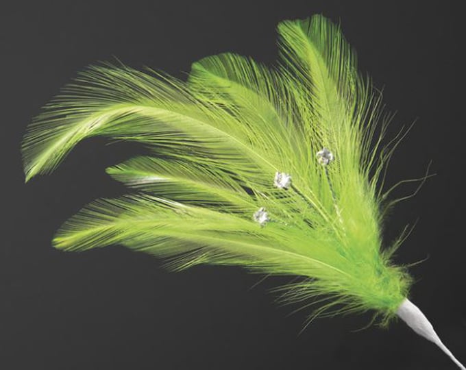 Free postage! Pack of 6 LIME GREEN real feathers with diamantes for crafting, hat making, wedding hair, floral decorations and bouquets