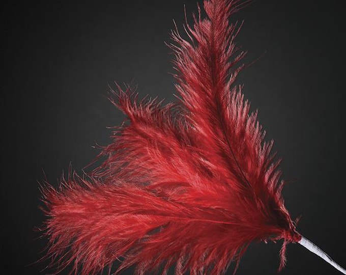 18 RED real FEATHER spray. Each spray has 3 feathers great for crafting, hatmaking, wedding hair, floral decorations and bouquets