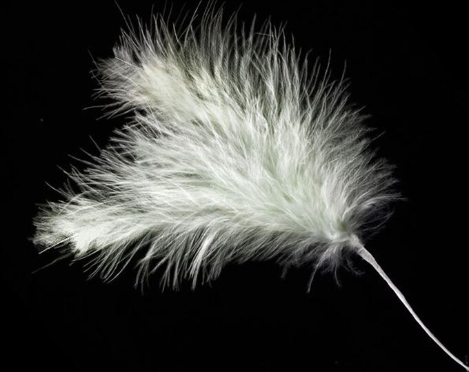 18 SAGE GREEN real FEATHER spray. Each spray has 3 feathers great for crafting, hatmaking, wedding hair, floral decorations and bouquets